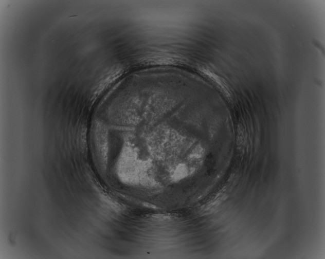 X0000093100394200710171205