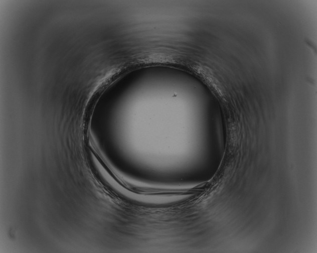 X0000093100395200710171205