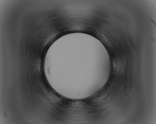 X0000093100396200710171205