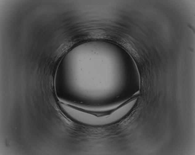 X0000093100397200710171205