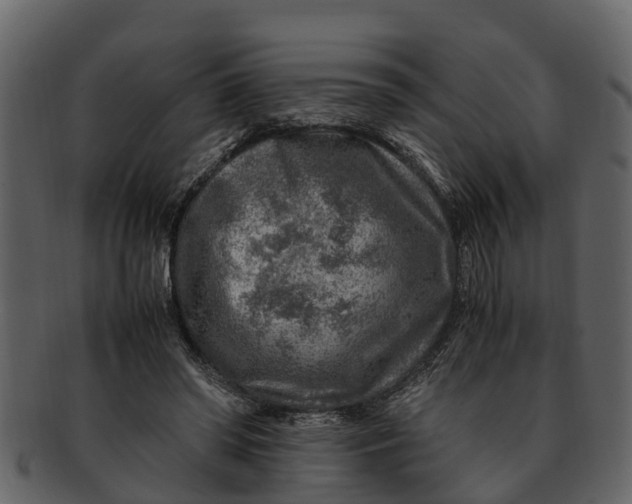 X0000093100398200710171205