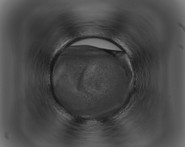 X0000093100399200710171205