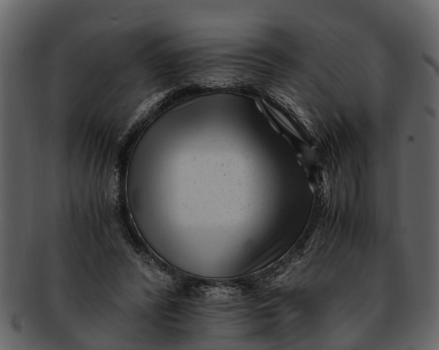 X0000093100400200710171205