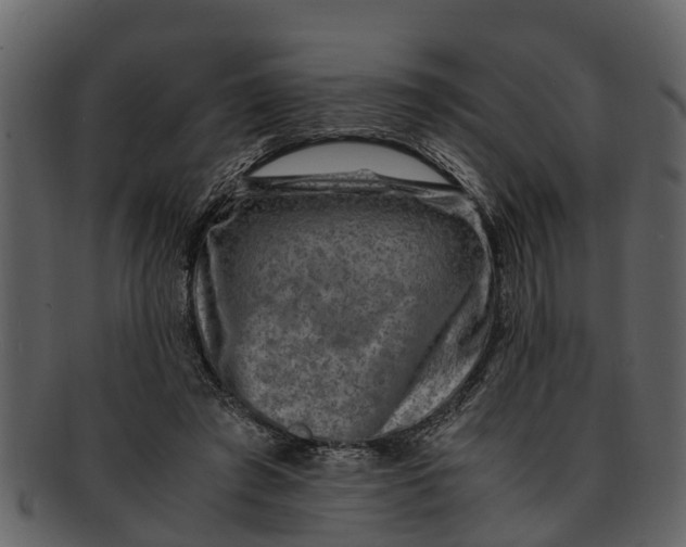 X0000093100401200710171205