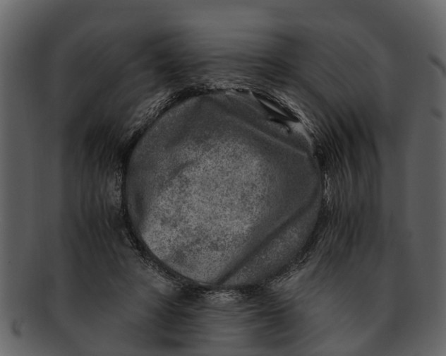 X0000093100402200710171205
