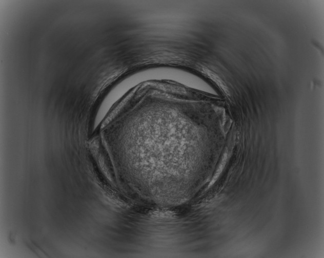 X0000093100403200710171205