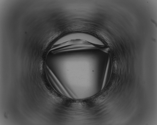 X0000093100404200710171205