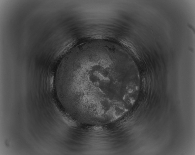 X0000093100406200710171205