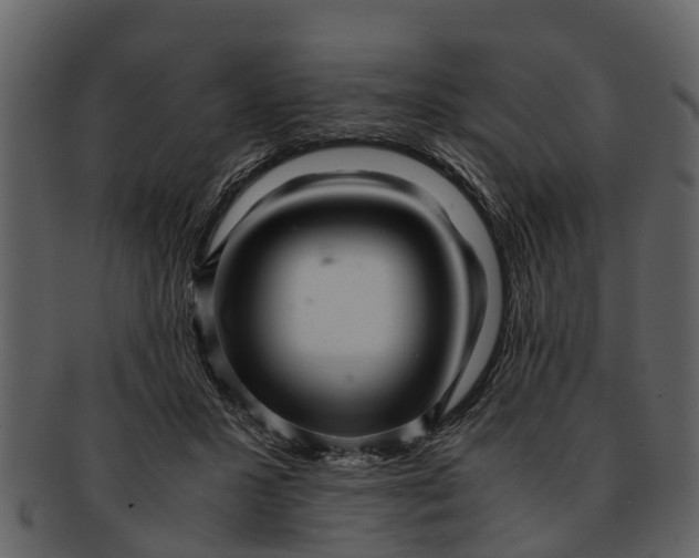 X0000093100407200710171205