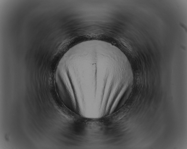 X0000093100408200710171205