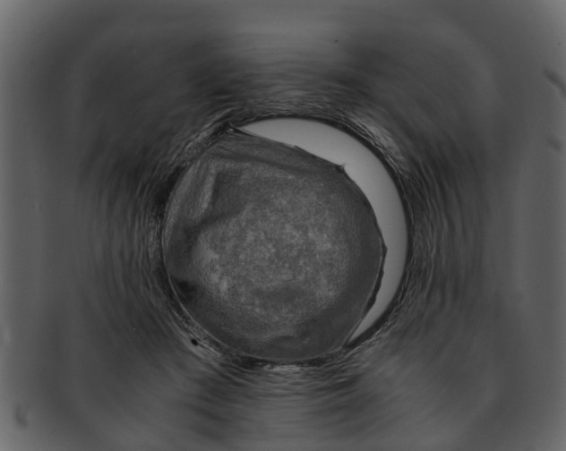 X0000093100409200710171205