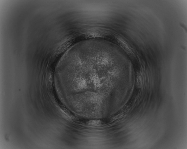 X0000093100410200710171205