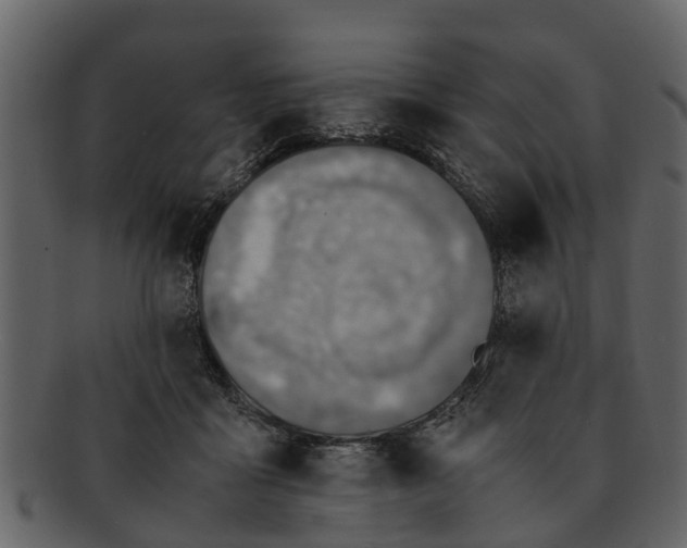 X0000093100411200710171205
