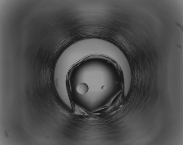 X0000093100412200710171205