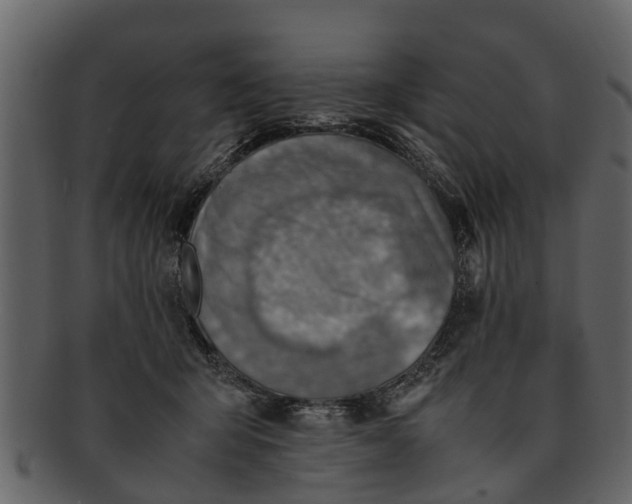 X0000093100415200710171205