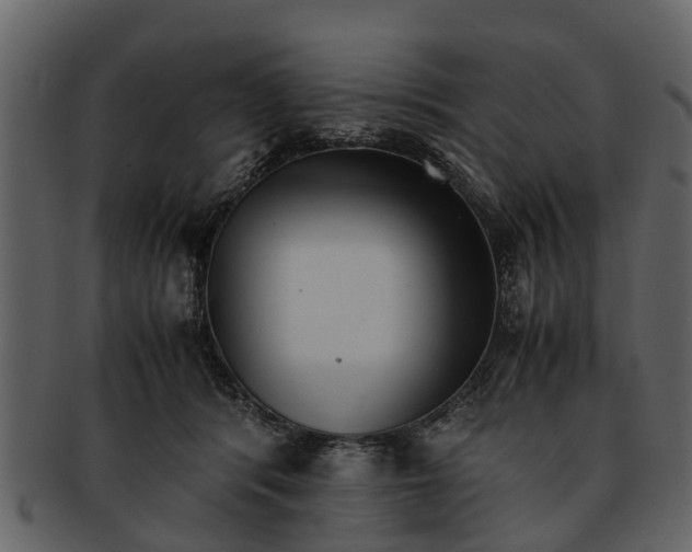 X0000093100416200710171205