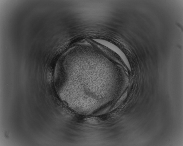 X0000093100417200710171205