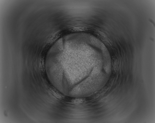 X0000093100418200710171205