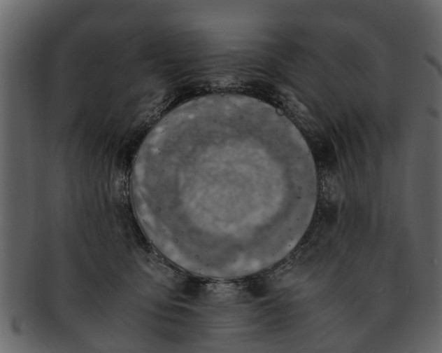 X0000093100419200710171205