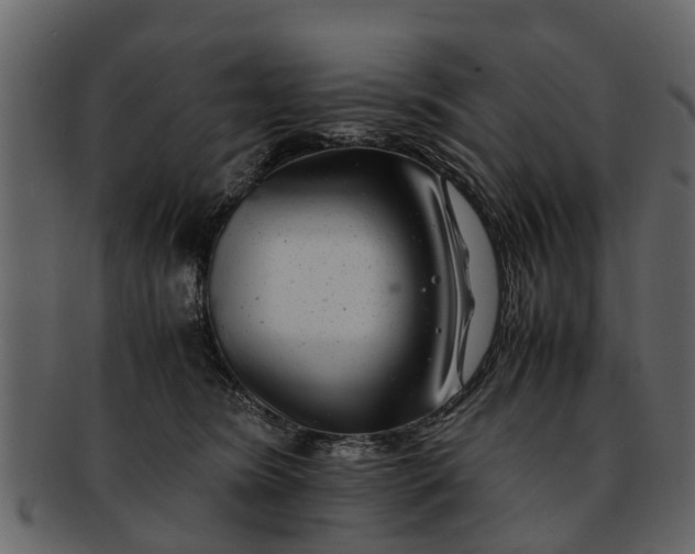 X0000093100420200710171205