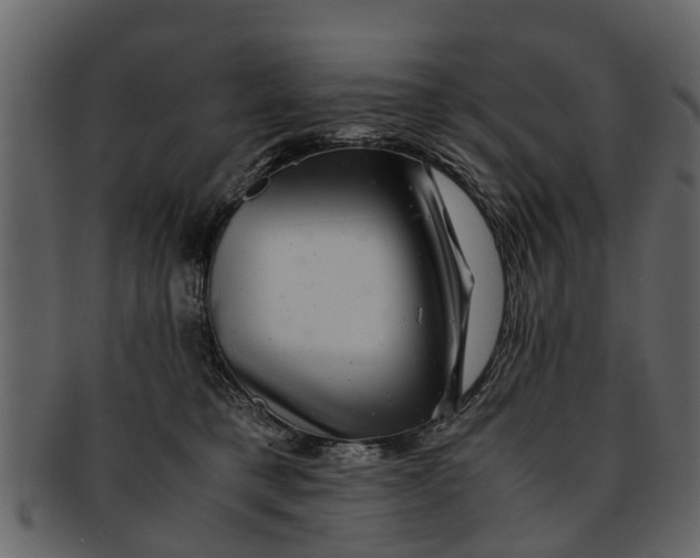 X0000093100421200710171205