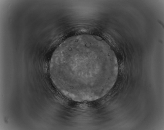 X0000093100423200710171205