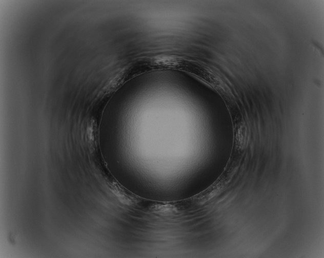 X0000093100424200710171205