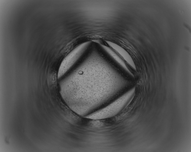 X0000093100425200710171205