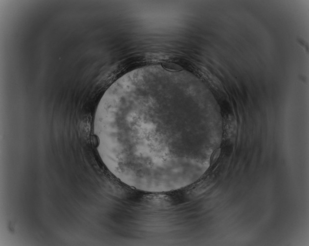 X0000093100427200710171205