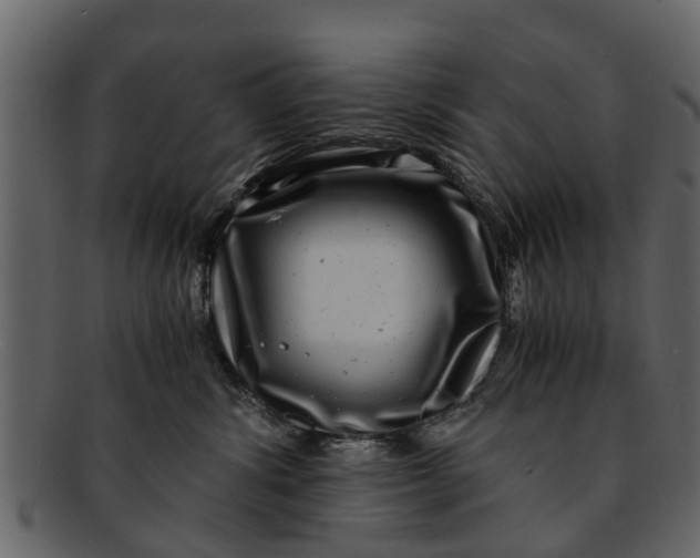 X0000093100428200710171205