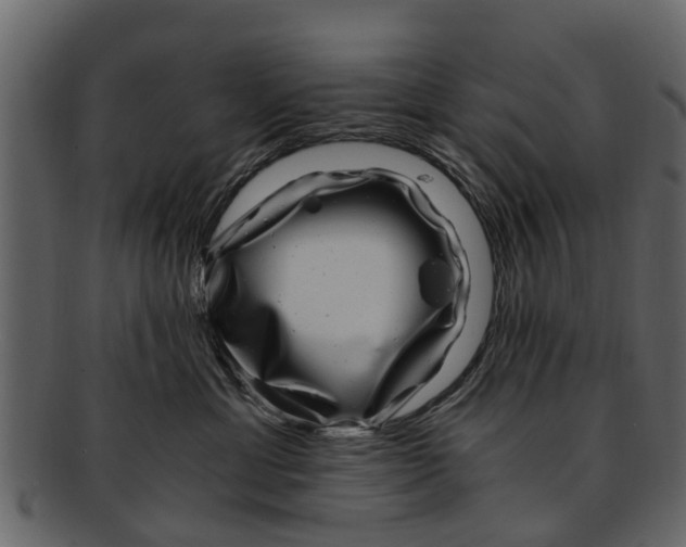 X0000093100429200710171205