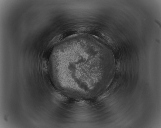 X0000093100430200710171205