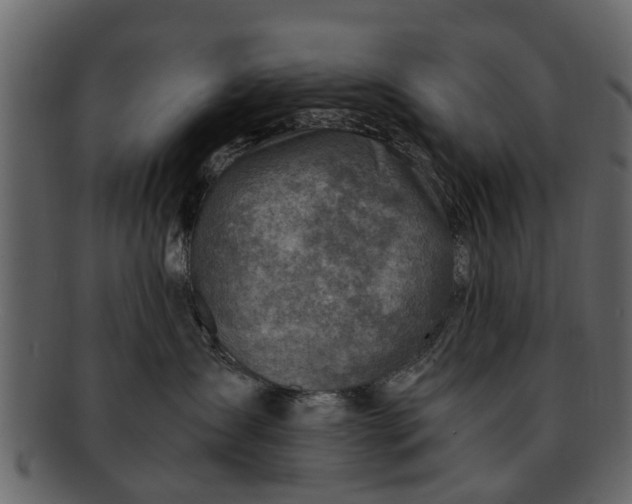 X0000093100431200710171205