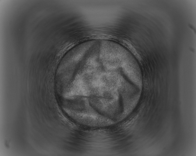 X0000093100433200710171204