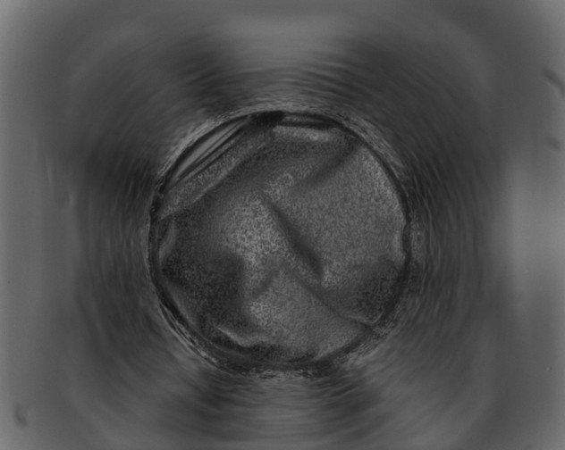 X0000093100434200710171204