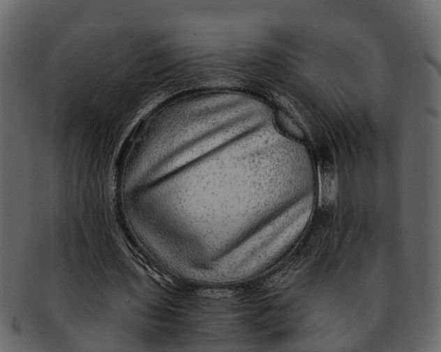 X0000093100435200710171204