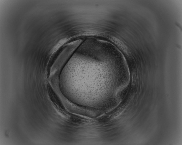 X0000093100436200710171204