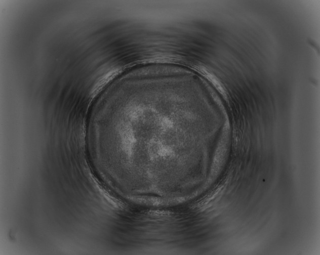 X0000093100437200710171204