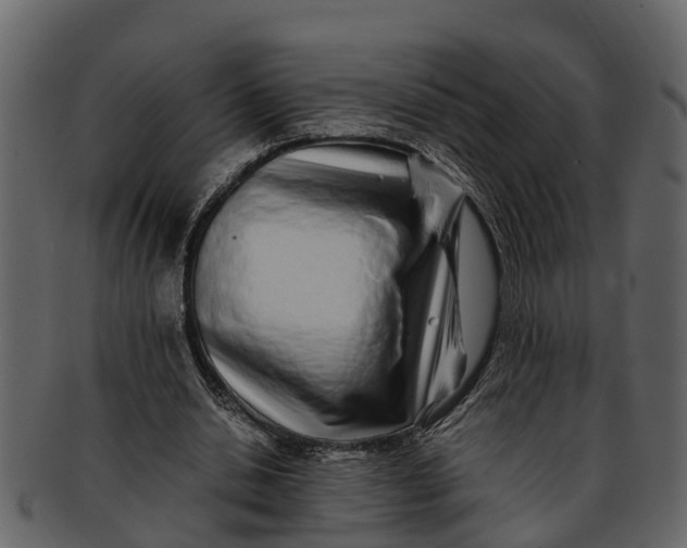 X0000093100438200710171204