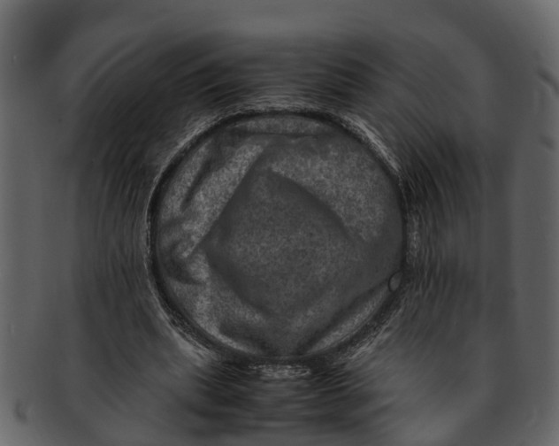 X0000093100439200710171204