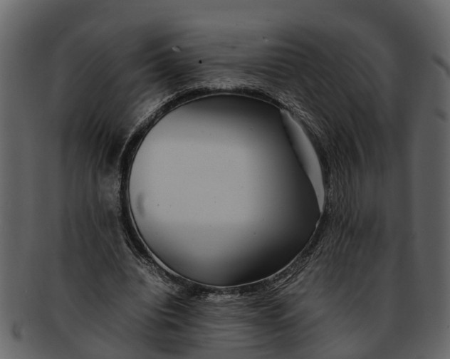 X0000093100440200710171204