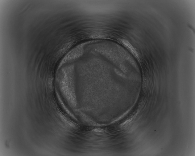 X0000093100441200710171204