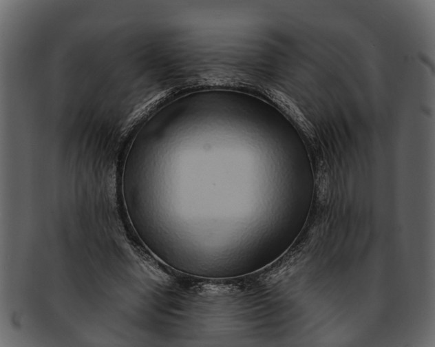 X0000093100442200710171204
