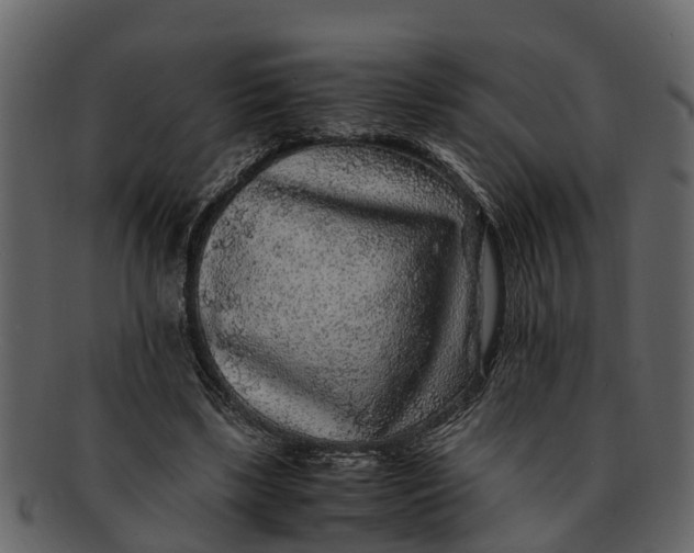 X0000093100443200710171204