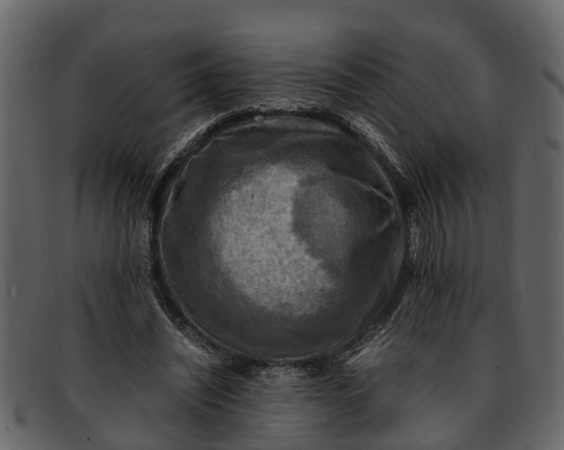 X0000093100444200710171204