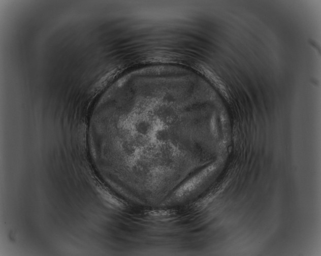 X0000093100445200710171204