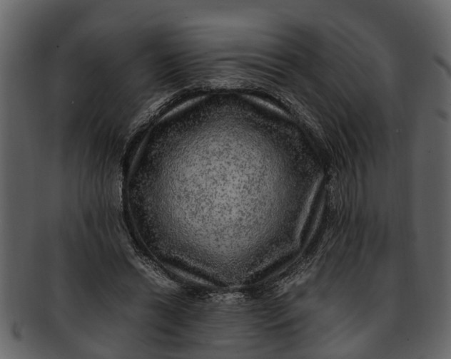 X0000093100446200710171204