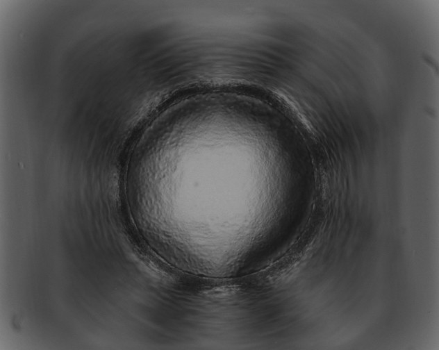 X0000093100447200710171204