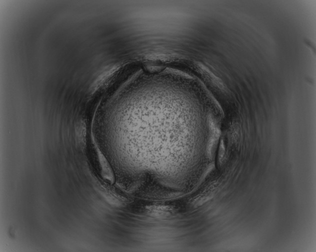 X0000093100448200710171204