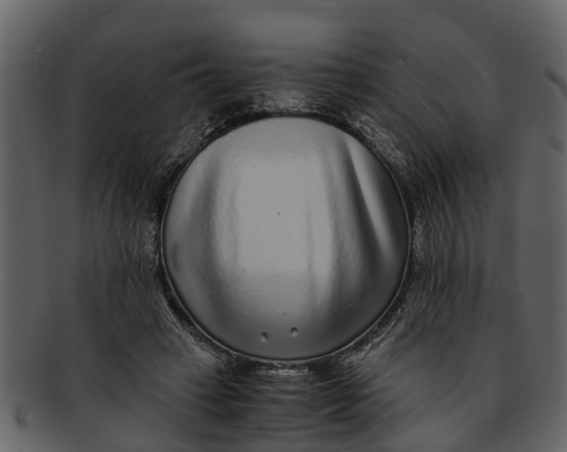 X0000093100449200710171204